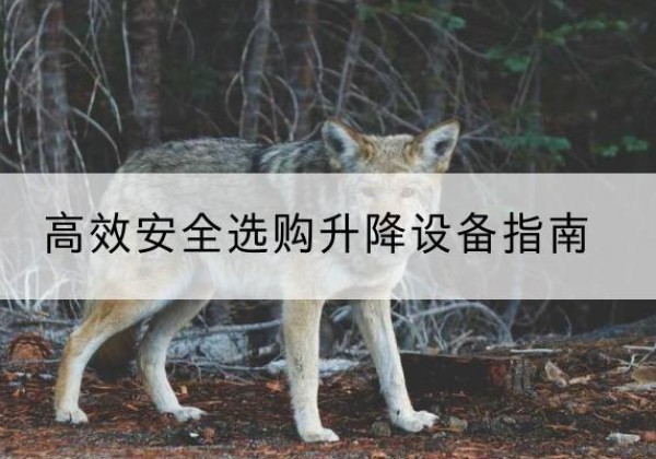 汝南升降货梯厂家推荐-*安全选购升降设备指南