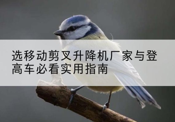 汝南电动升降机厂家-选移动剪叉升降机厂家与登高车必看实用指南