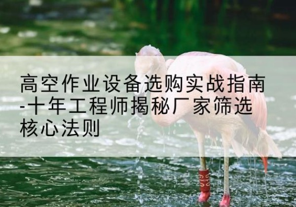汝南剪叉式升降机厂家-高空作业设备选购实战指南-十年工程师揭秘厂家筛选核心法则
